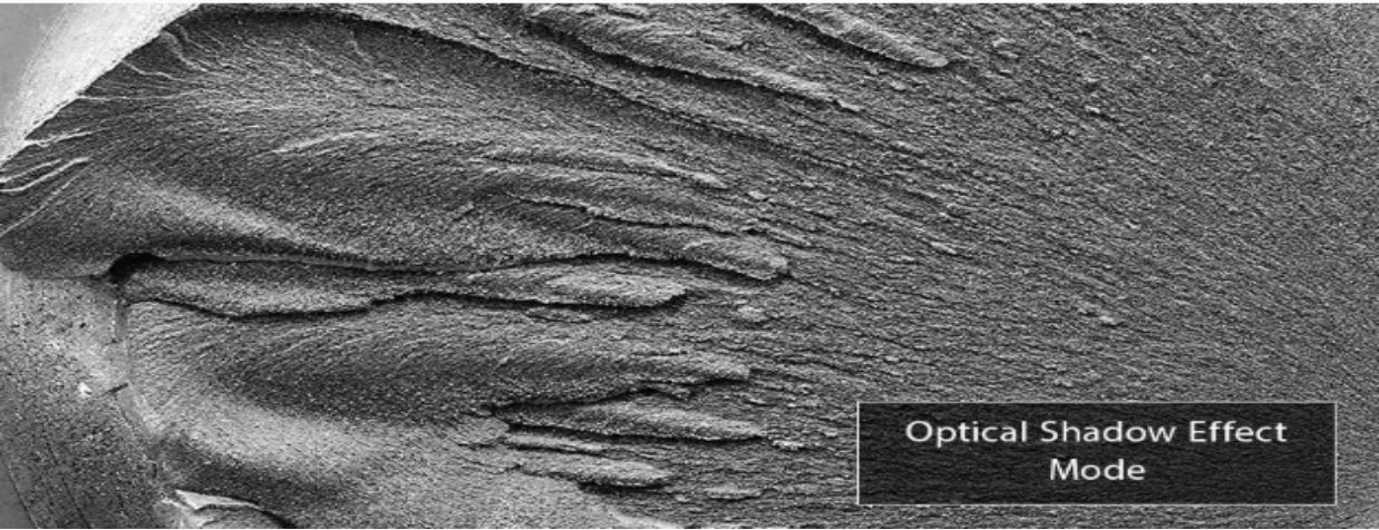 数码显微镜测试图片 数码显微镜测试图片