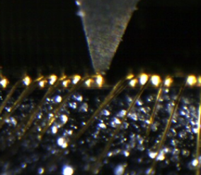 测试图片 测试图片