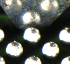 测试图片 测试图片